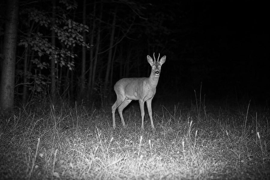 Prises de nuit invisibles